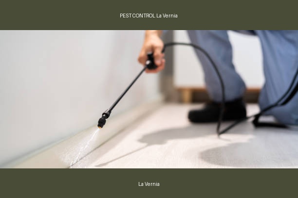 PEST CONTROL La Vernia